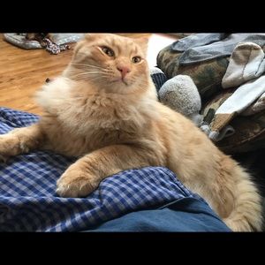 Meet your Posher, Dana